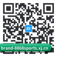 Android 全机型适配版 二维码